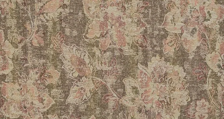 Carboni nori_22