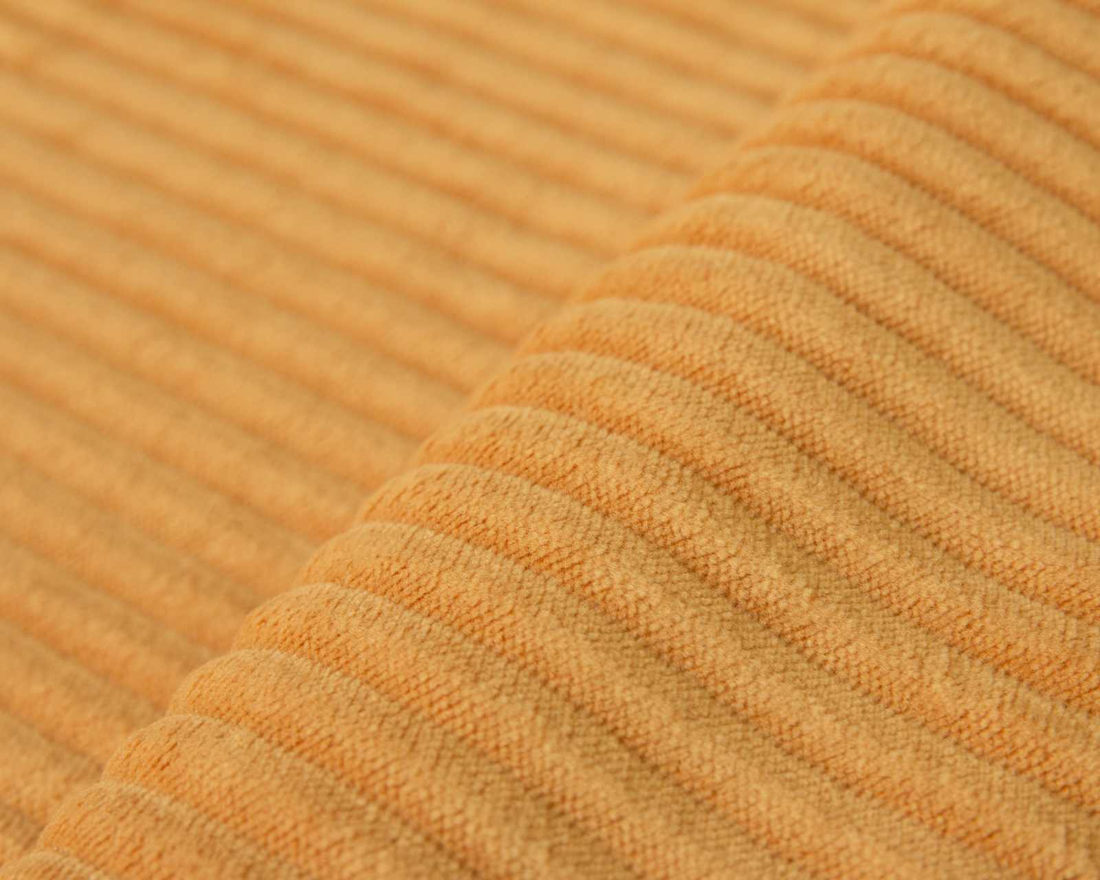 Cilium CILIUM UMBER