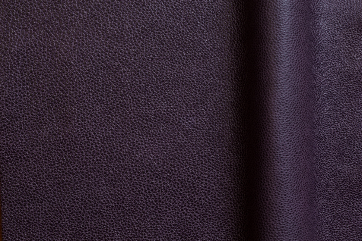 Symphony Purple