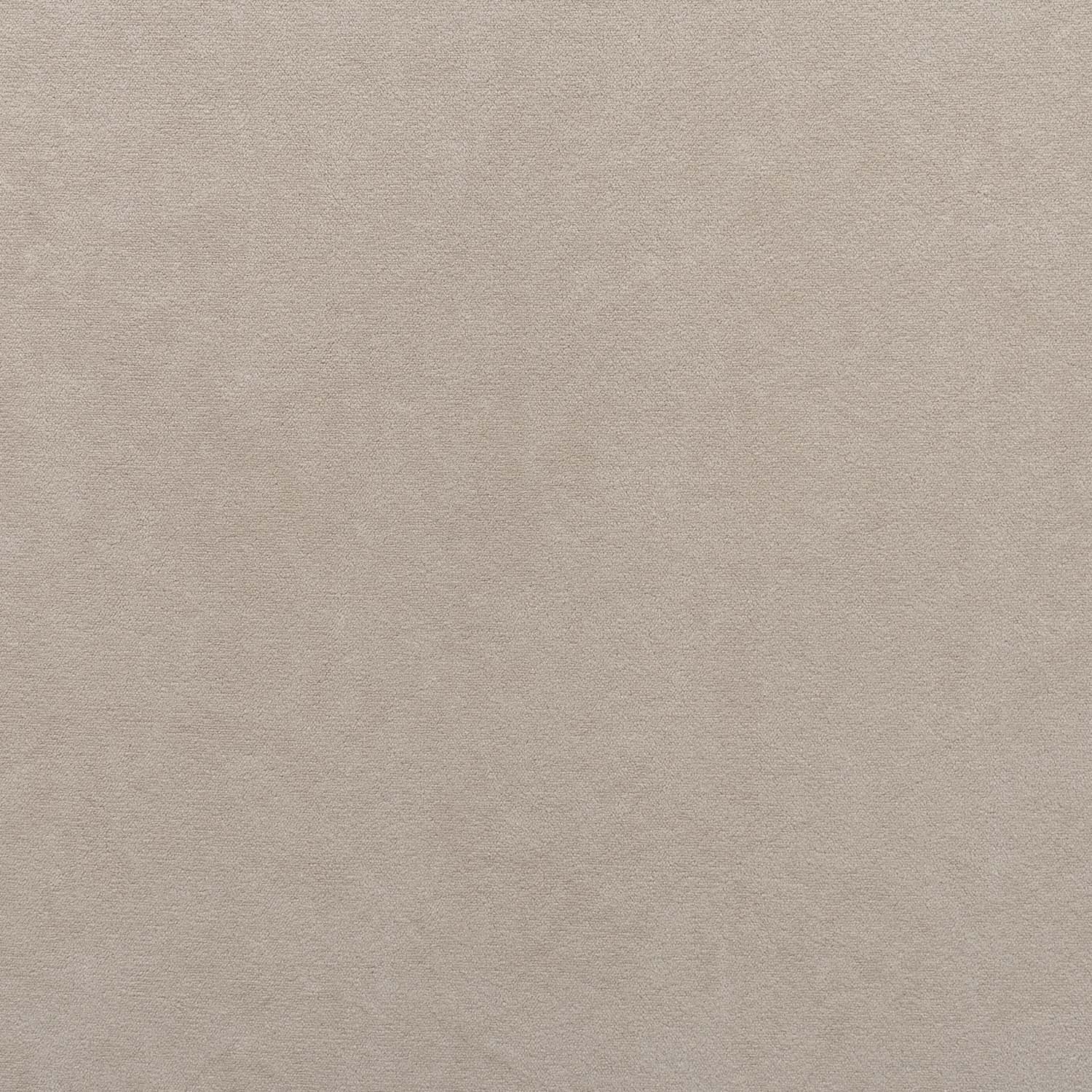 Leonardo Leonardo 2