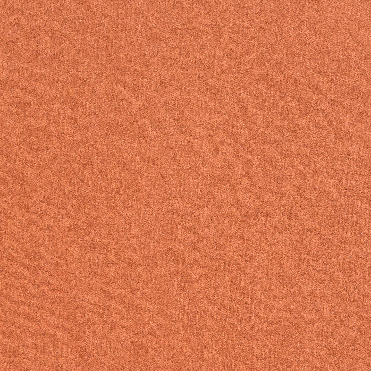 Vivaldi Vivaldi 31