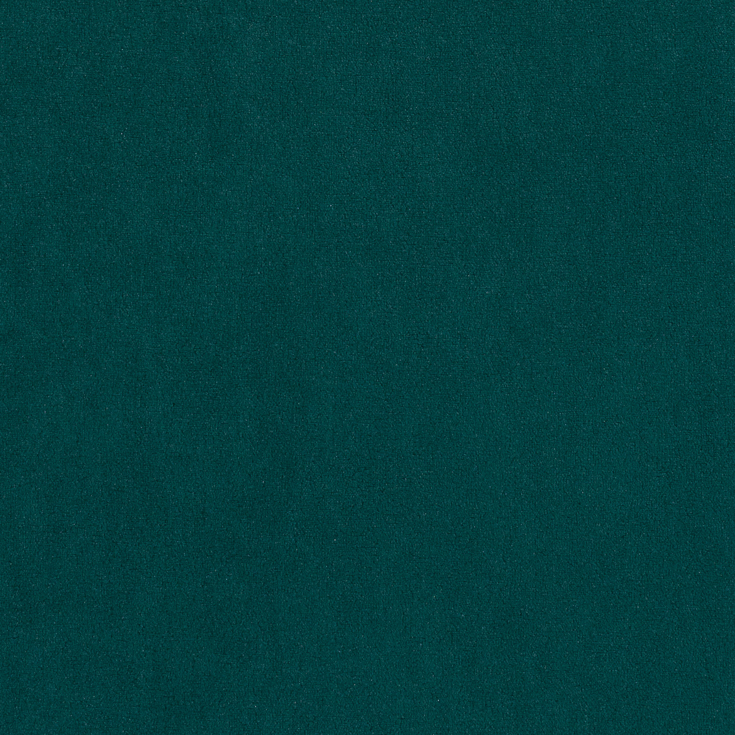 Vivaldi Vivaldi 11