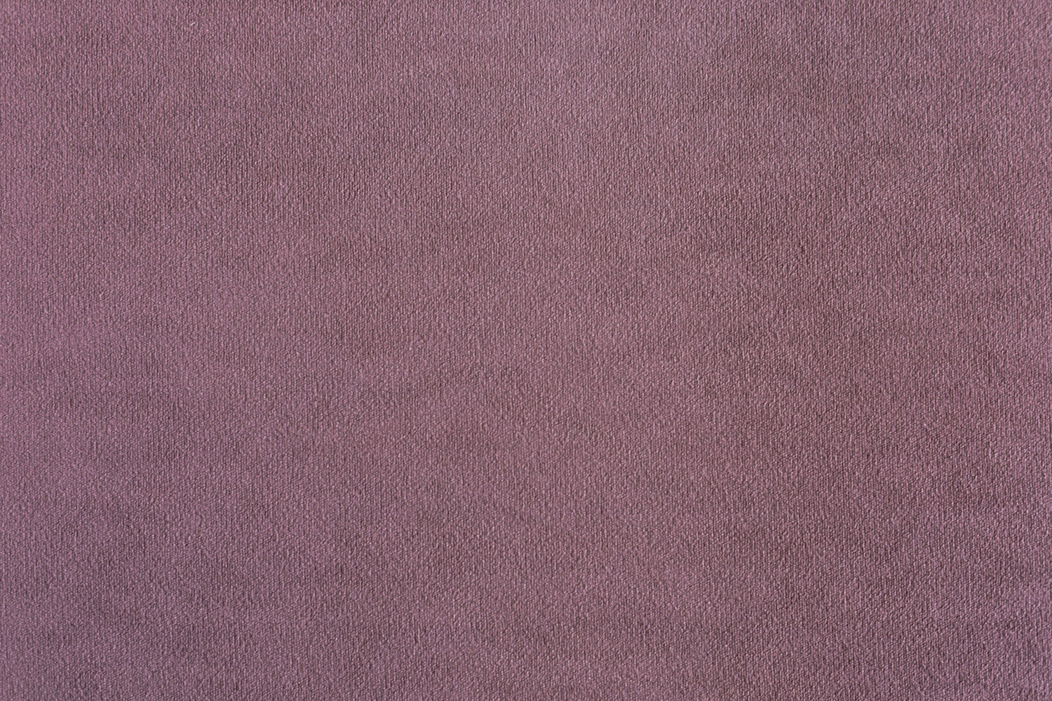 Parma 1025 Lilac
