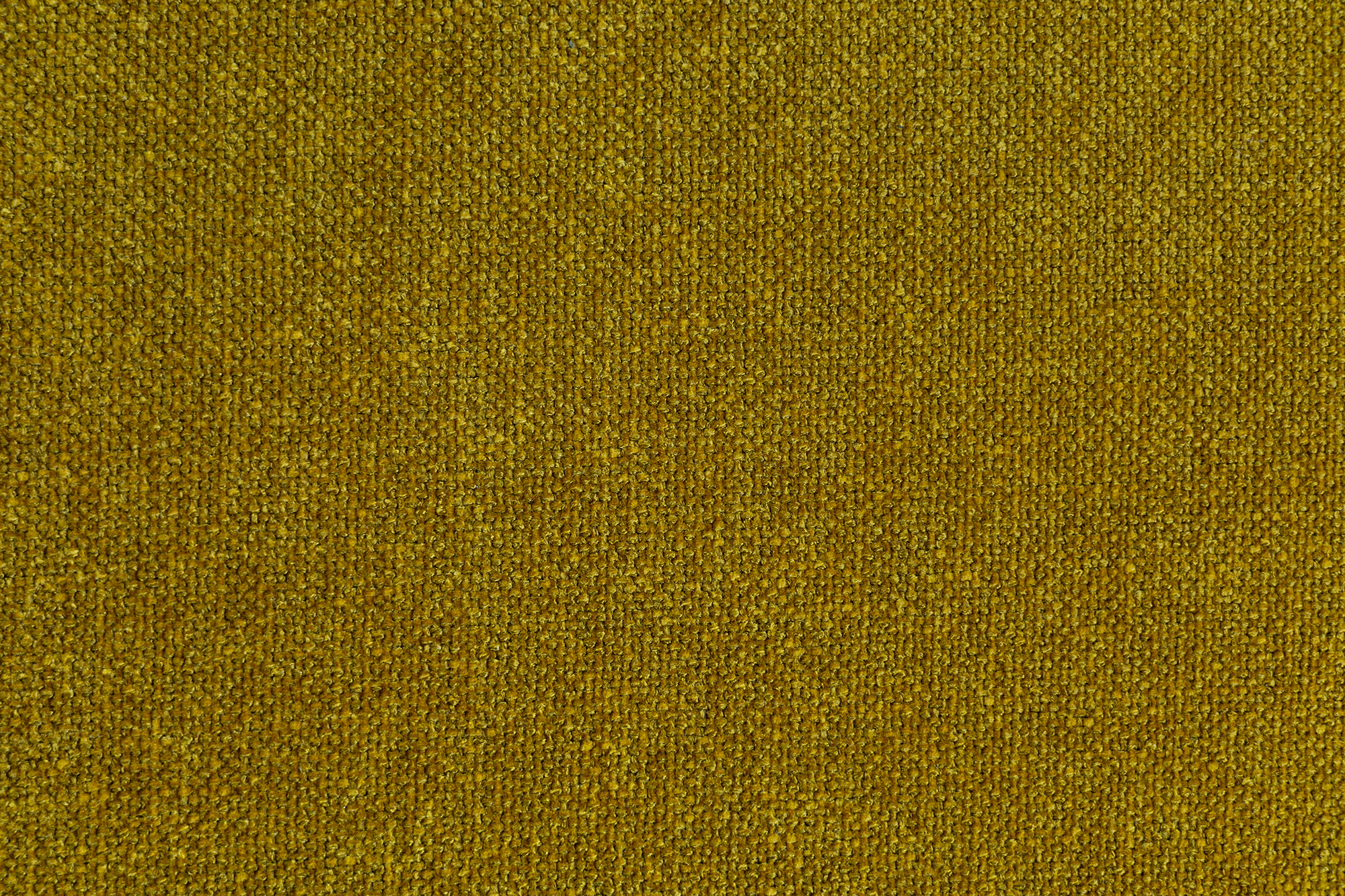 Escada 101 Mustard