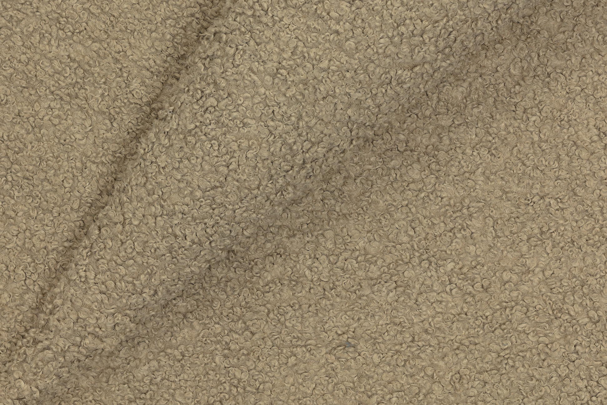 Merino Merino-003