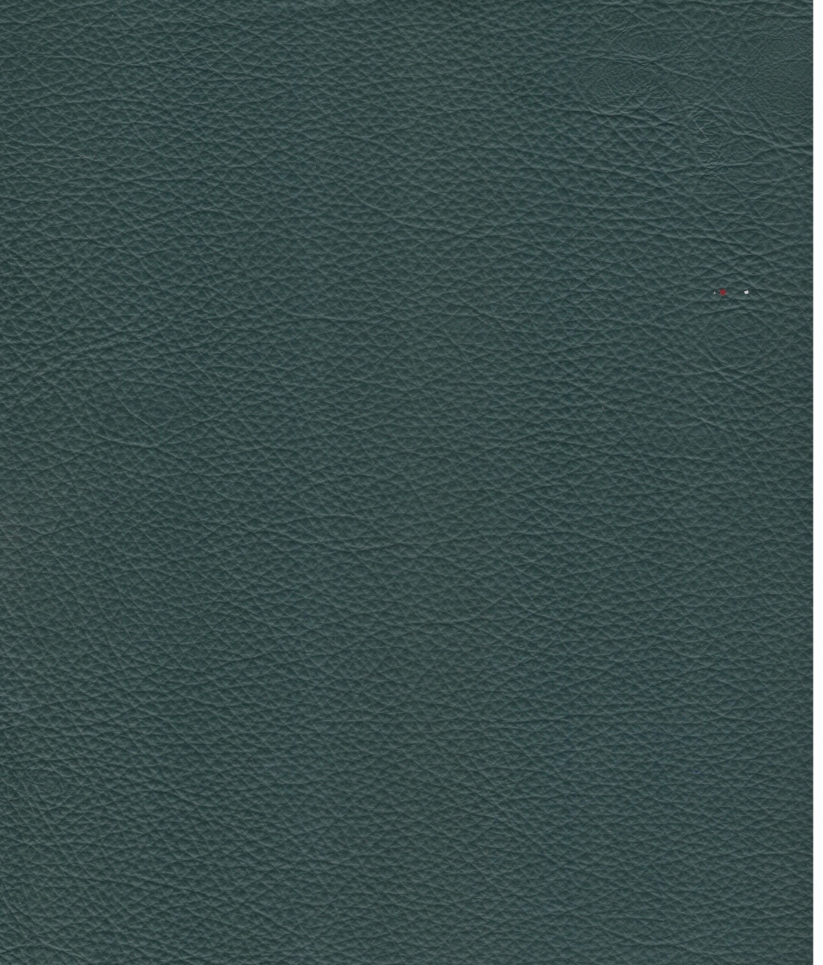 Estoril Iris Green
