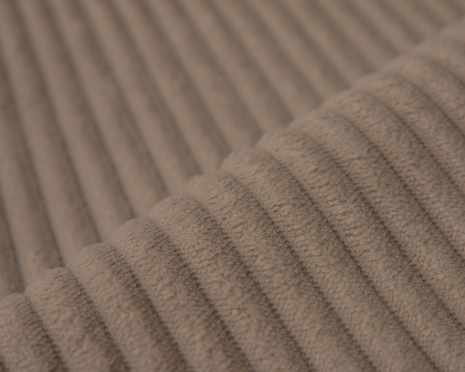 Cilium CILIUM BROWN
