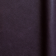 Symphony Purple