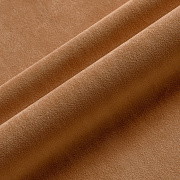 Premier 06