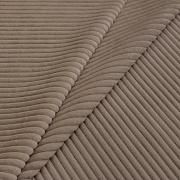 Cilium CILIUM BROWN